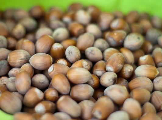 Hazelnuts