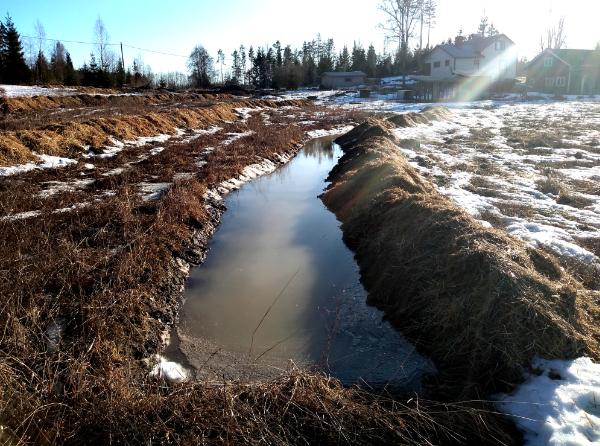 Newly dug swales filling with water Photo: DanMcTiernan