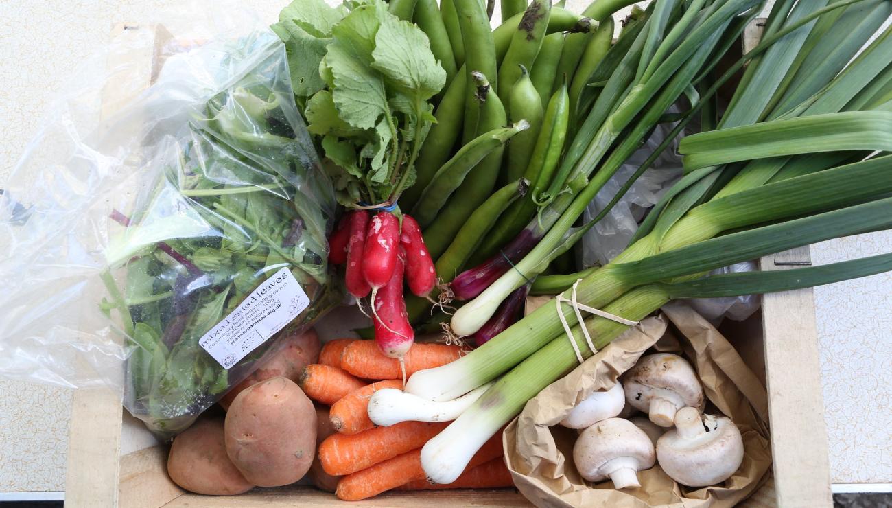 Organiclea veg box Photo: Nicola Tree