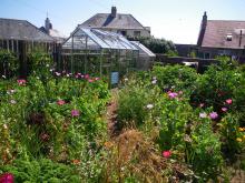 Image of garden