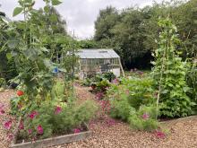 Community garden with crops growing and greenhouse in the background.