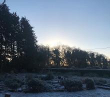 winter view of the herb garden