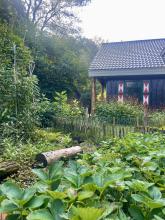 Family home | eco retrofit, forest garden
