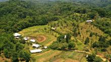 A sample of the different agroecological and cloud forest conservation systems in Las Cañadas.