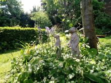 Picture of forest garden
