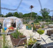 How the Nighitngale Community Garden looks