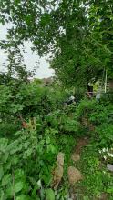 Food forest path on plot 163b