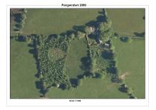 Purposeful Permaculture after 12 years