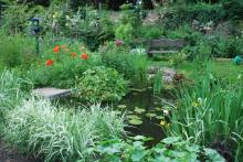 pond area