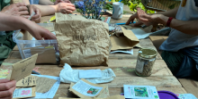 Seed saving workshop