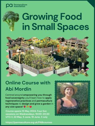 Growing Food in Small Spaces with Abi Mordin