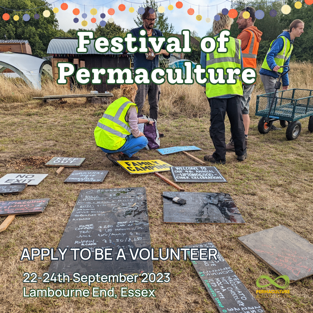 volunteer at the festival