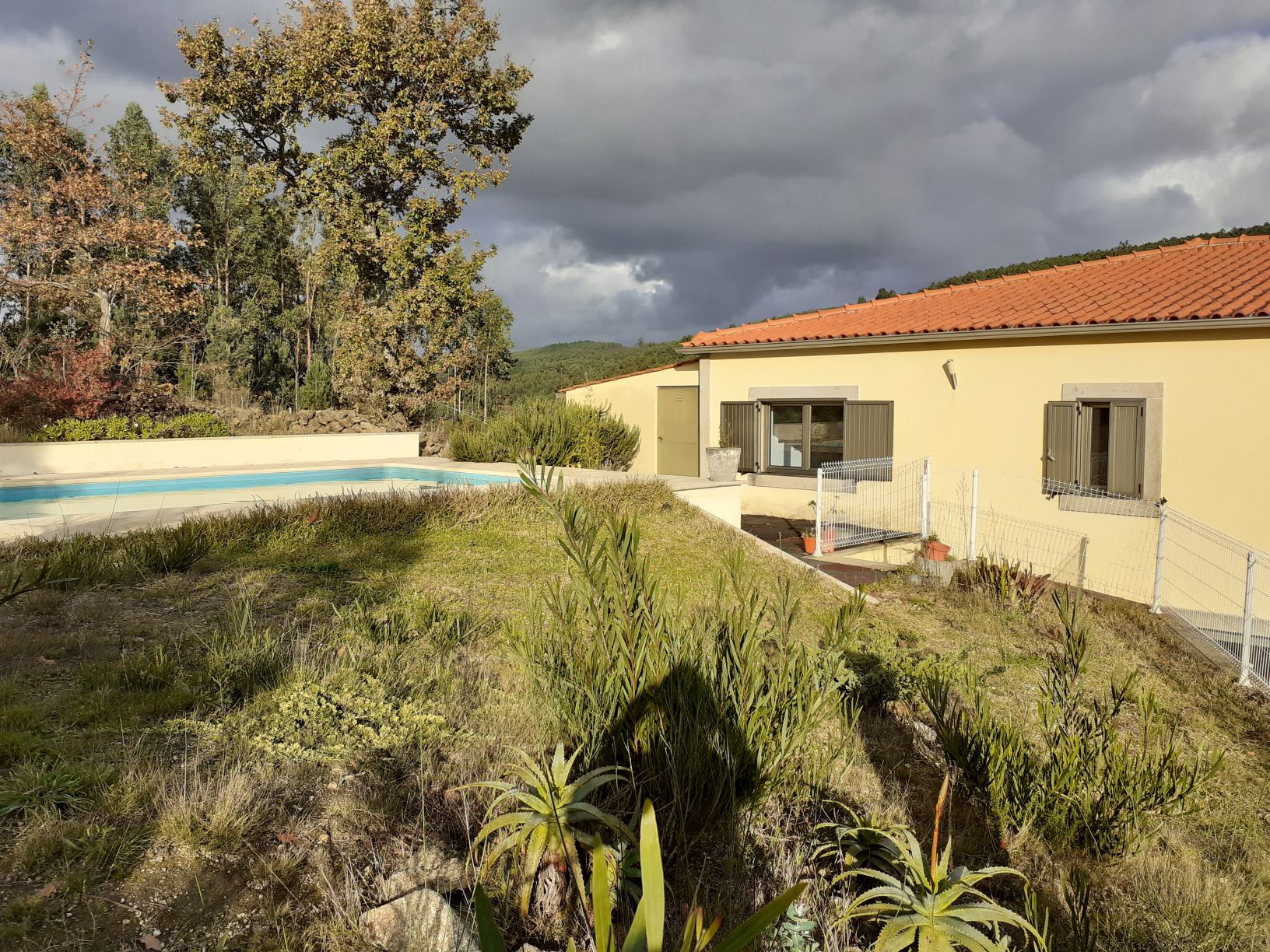 The house with pool and grey skies